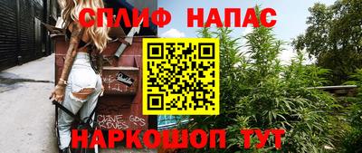 спиды Новозыбков