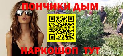 гашиш Новодвинск